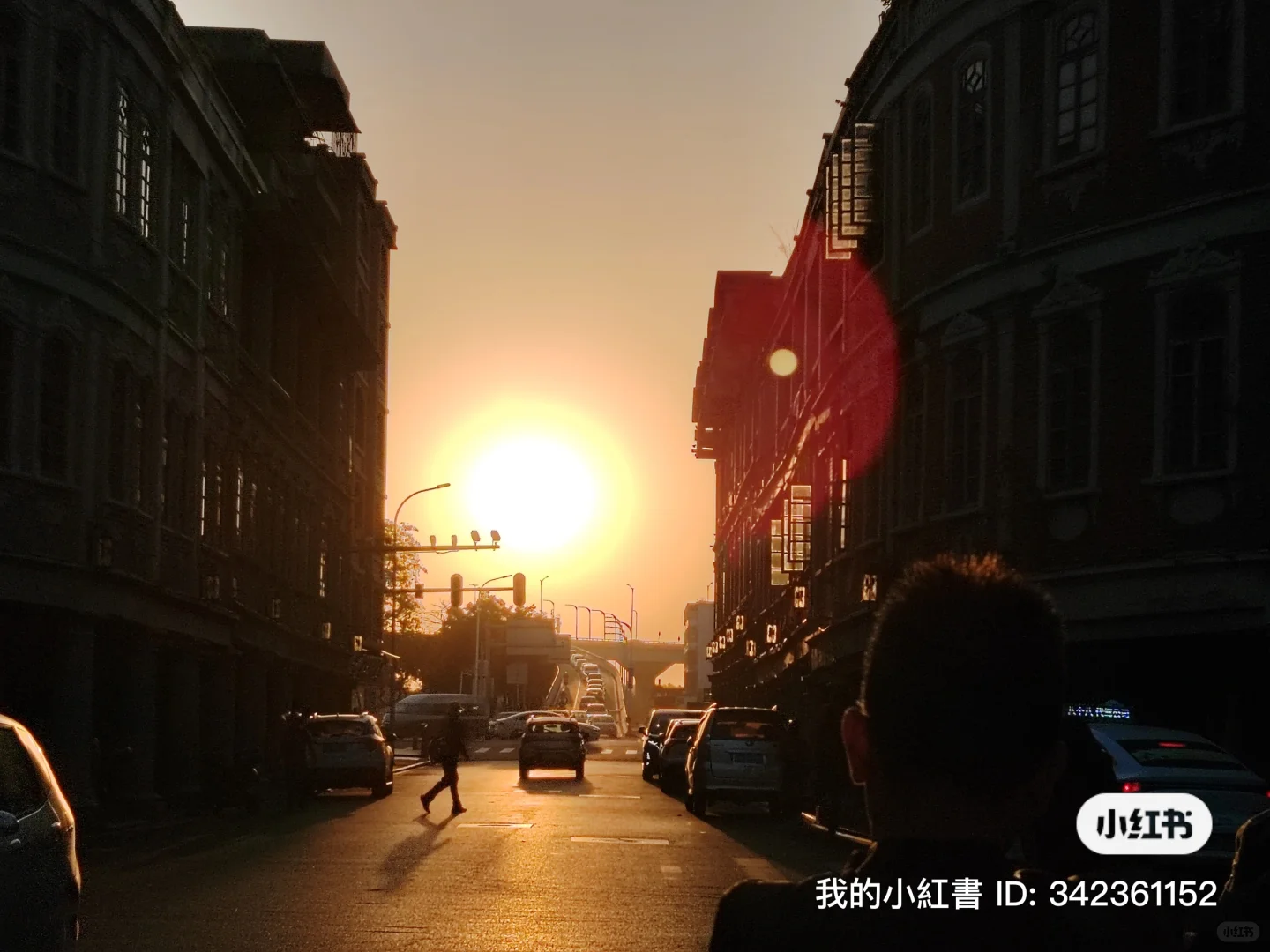 想给选择食品专业的同学一些参考建议