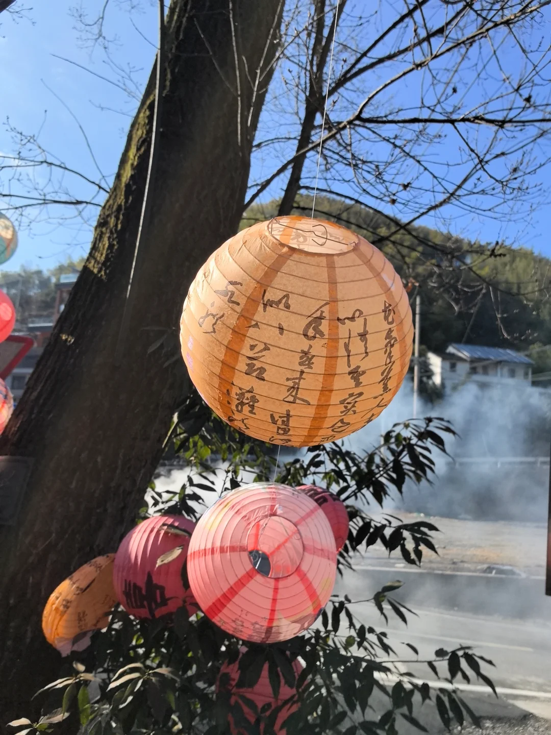 我找到工作啦,公司在山里,只有我一个员工