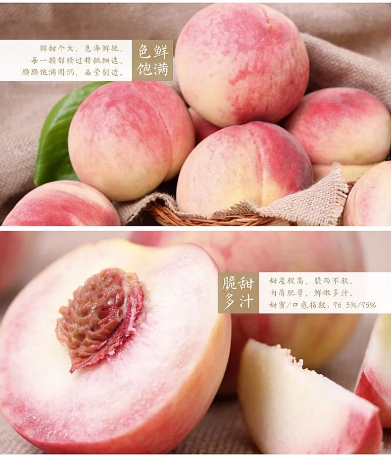 ?寻找助农直播合伙人