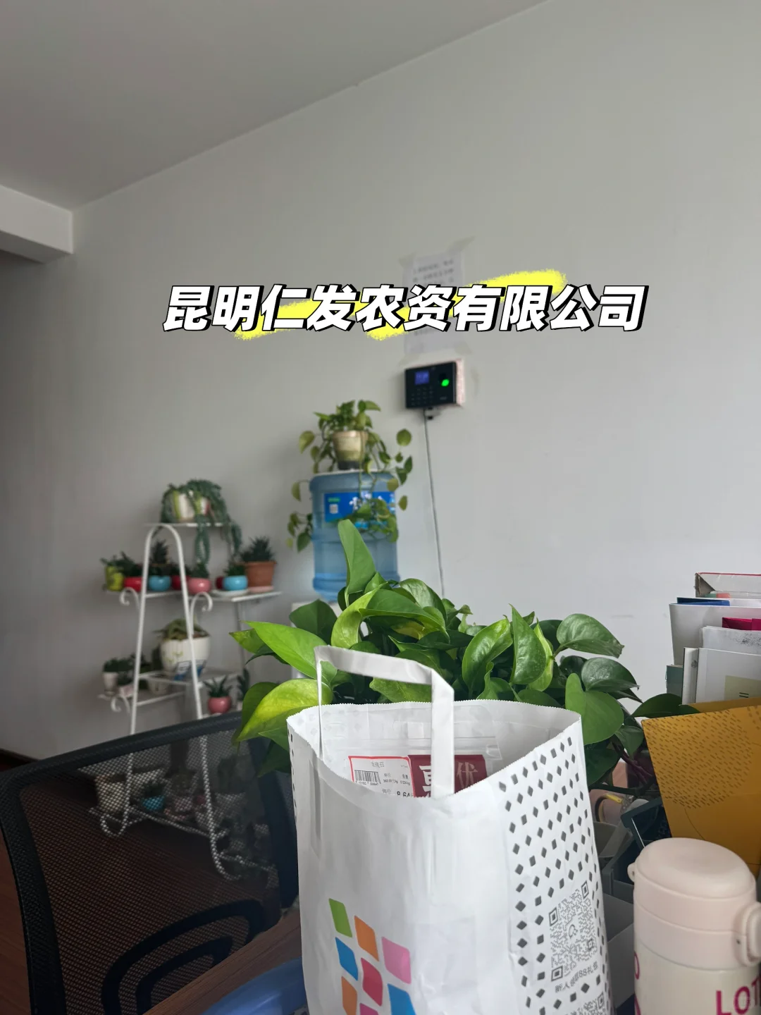 原来好的工作都是莫名其妙找到的