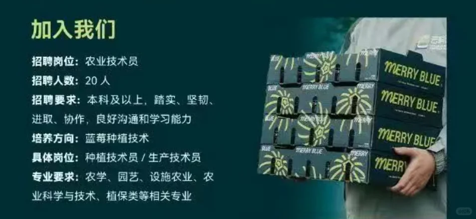农学有岗 薪资可观｜蓝莓种植公司