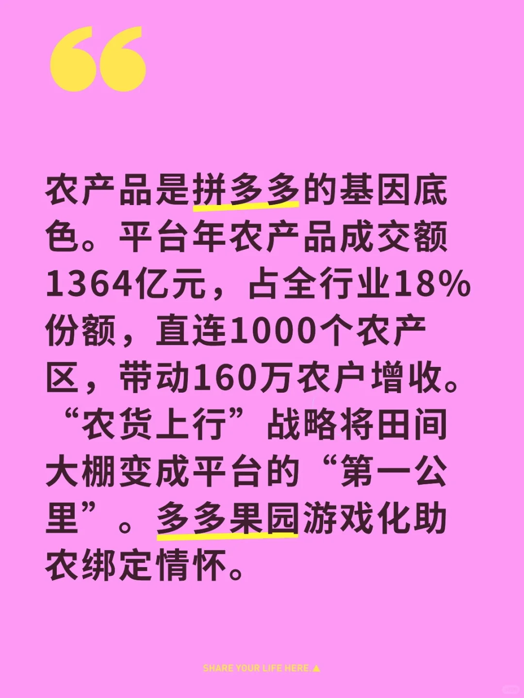 这就是拼多多！