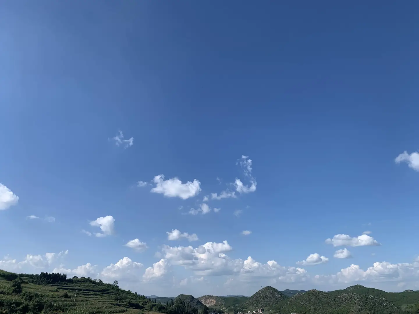 农业招工60岁内