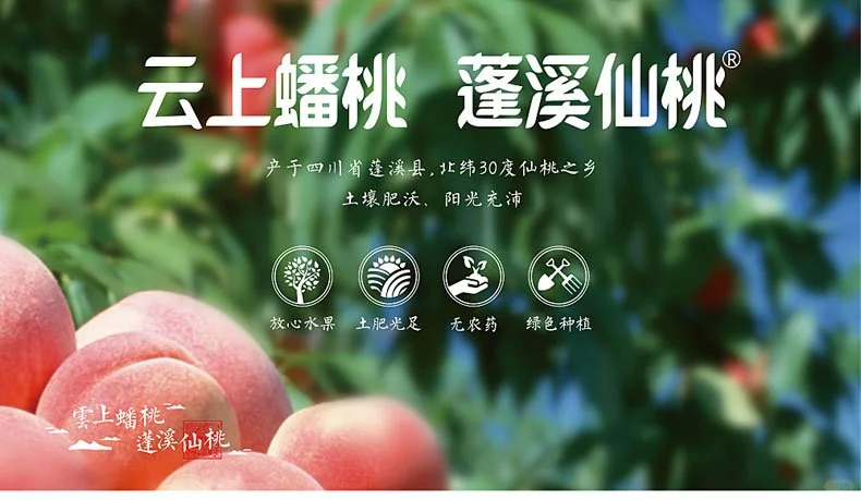 ?寻找助农直播合伙人