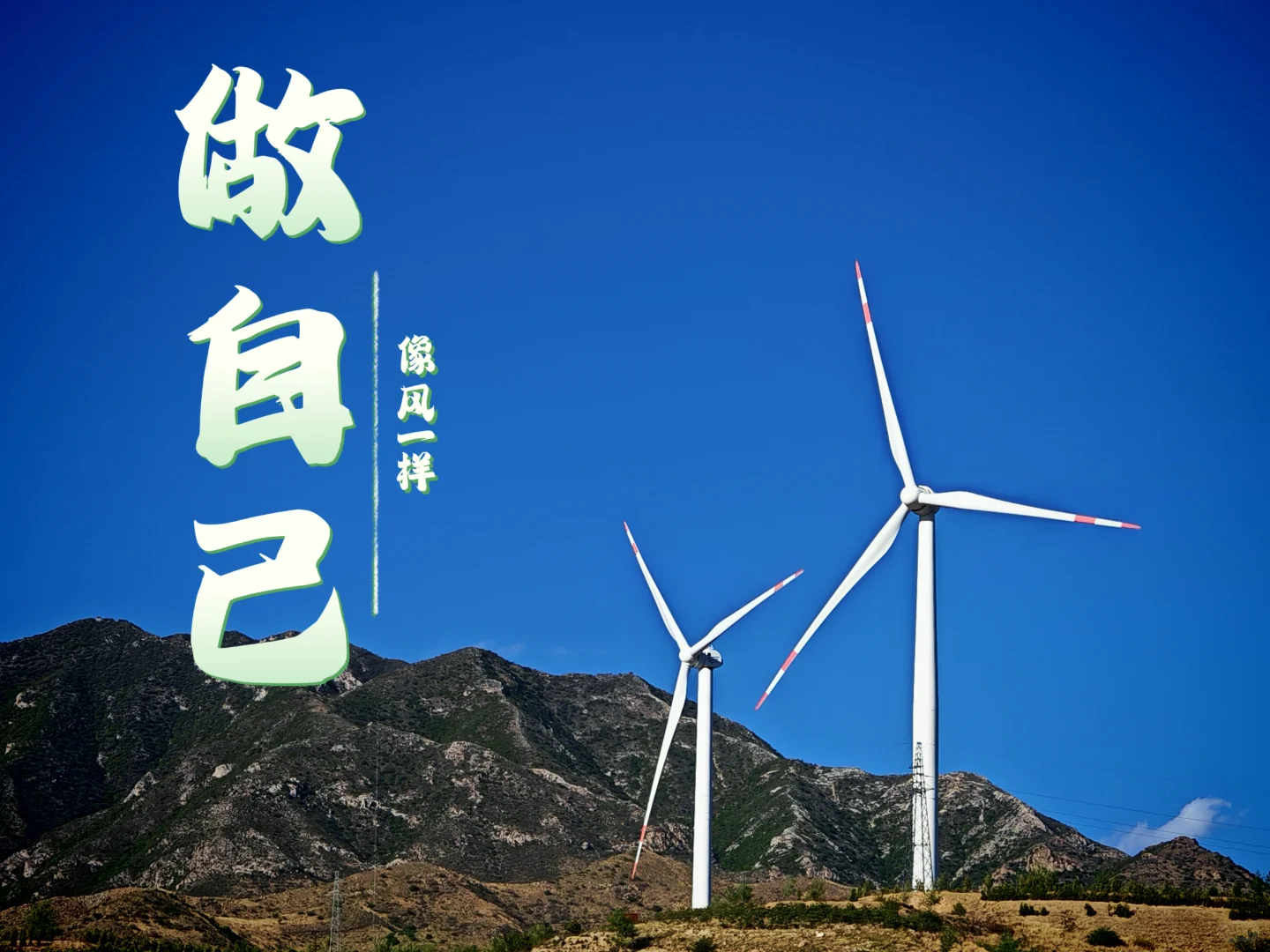 像风一样自由~