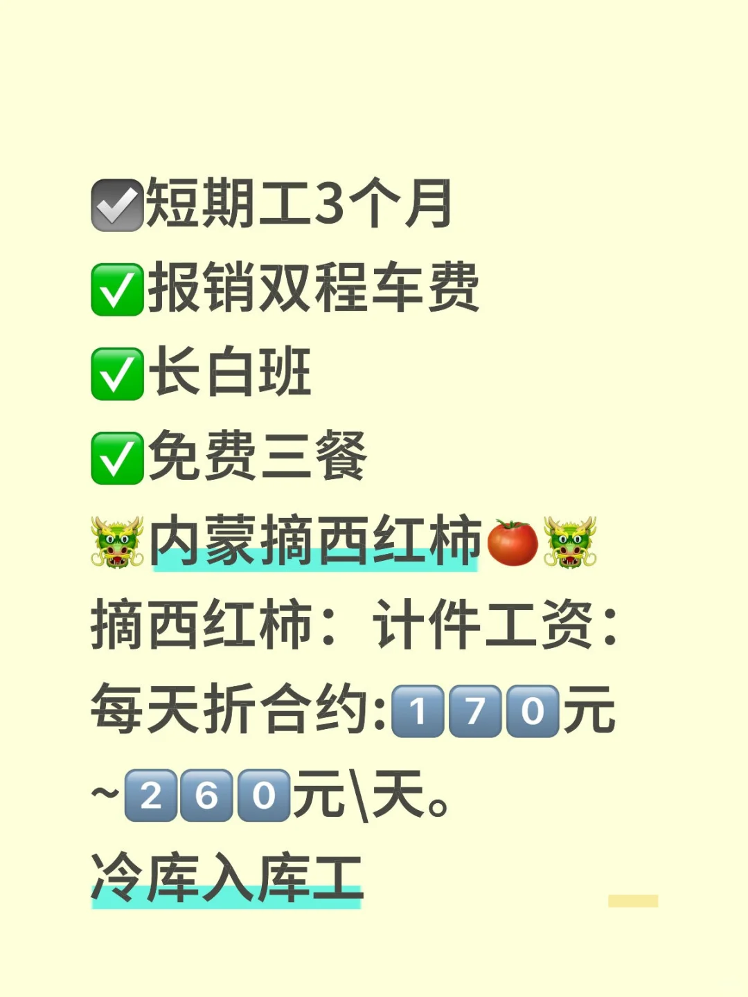 内蒙摘西红柿。冷库入库。短期工,季节工