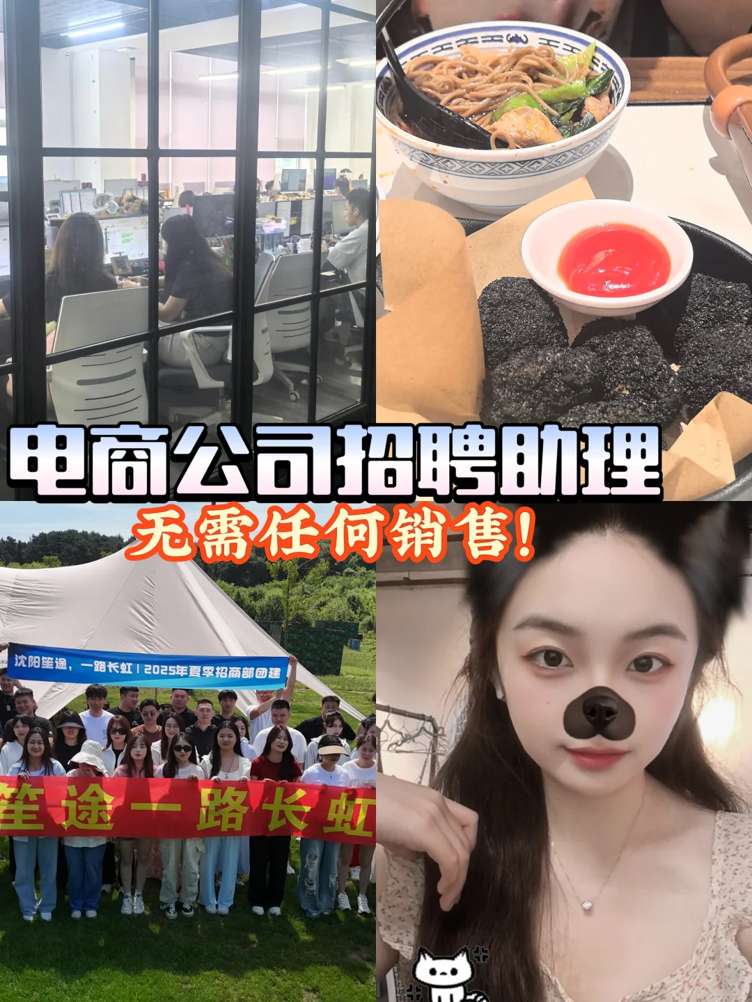 【沈阳急招】电商文职助理❗0销售❗