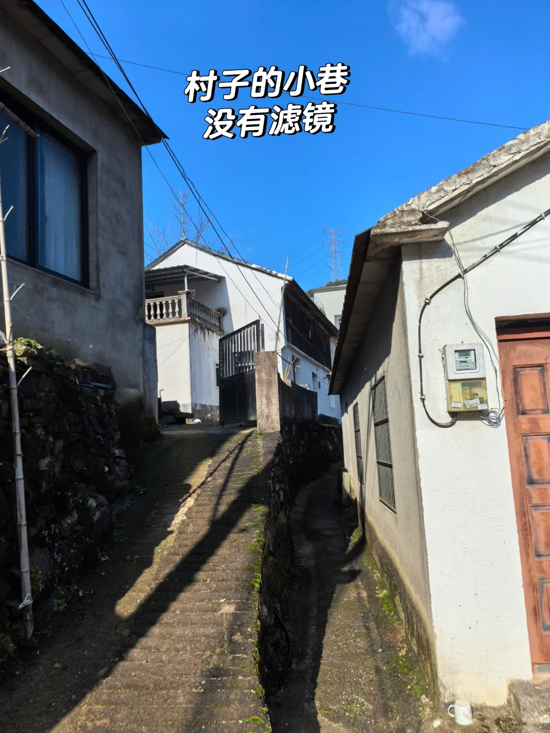 我找到工作啦,公司在山里,只有我一个员工