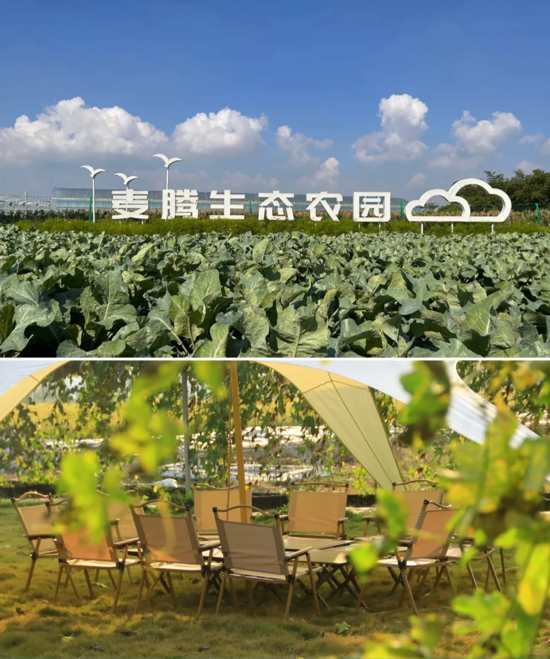 带薪种菜,我们农园招生产主管啦!