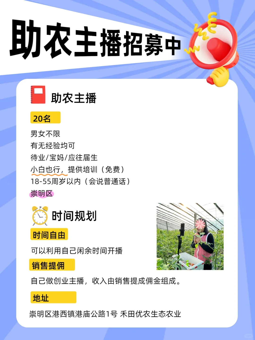 农产品招聘 (小白)免费培训
