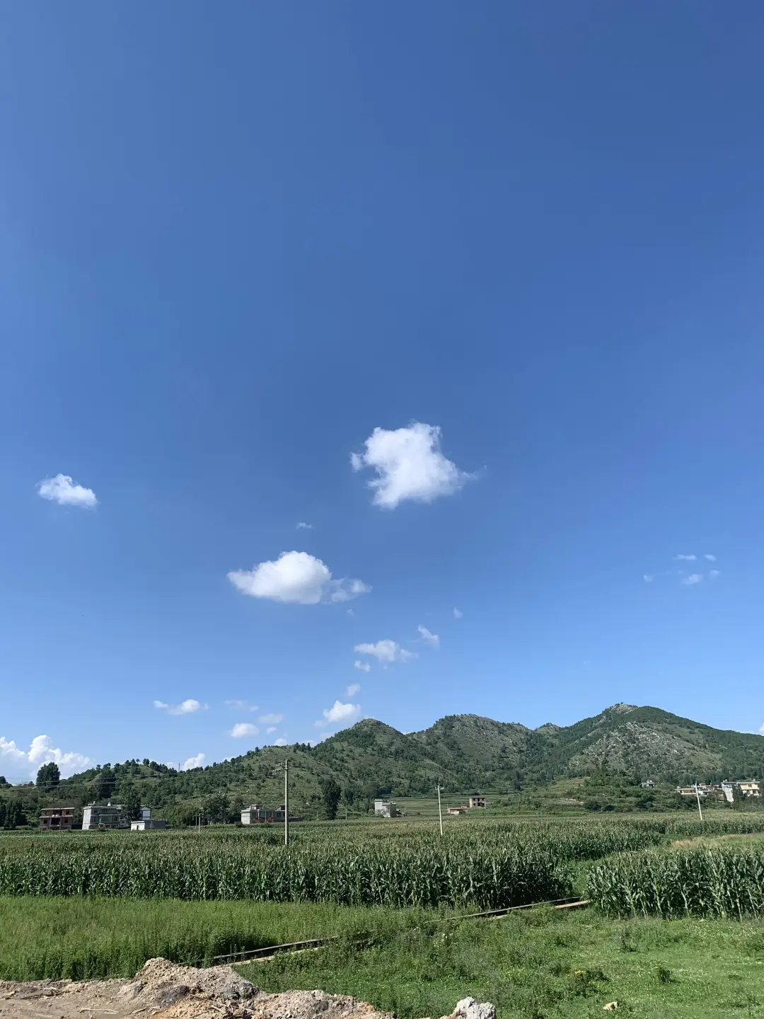 农业招工60岁内