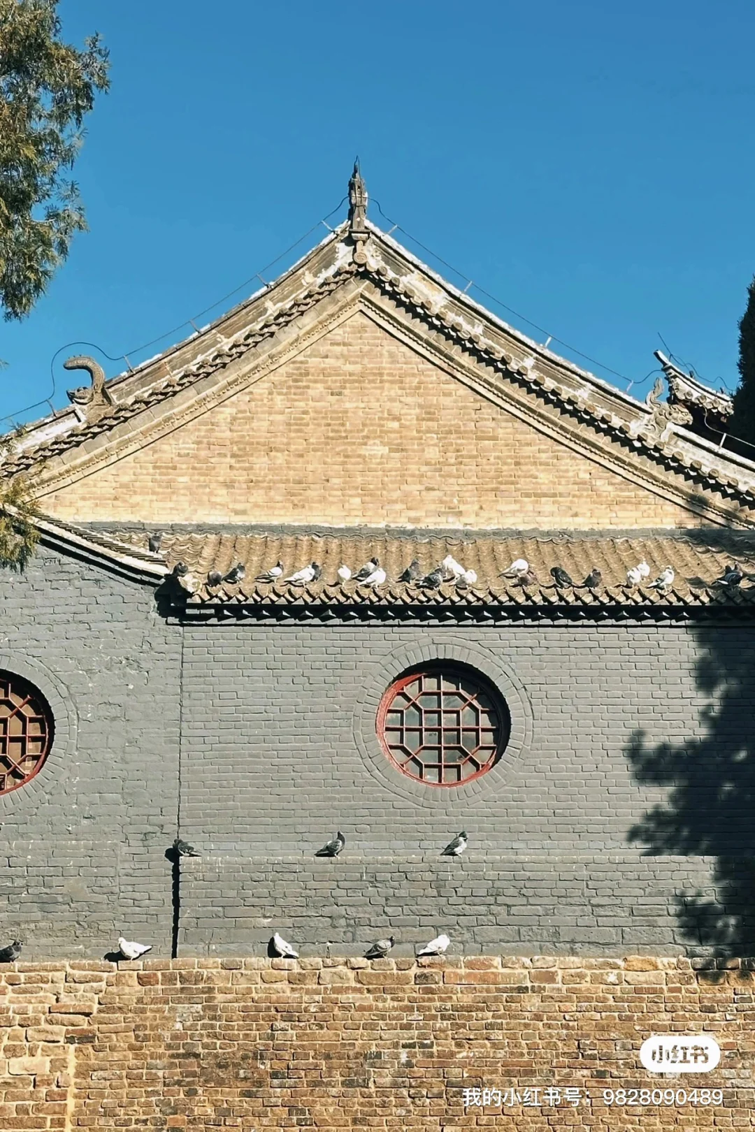 山西农业大学招聘兼职