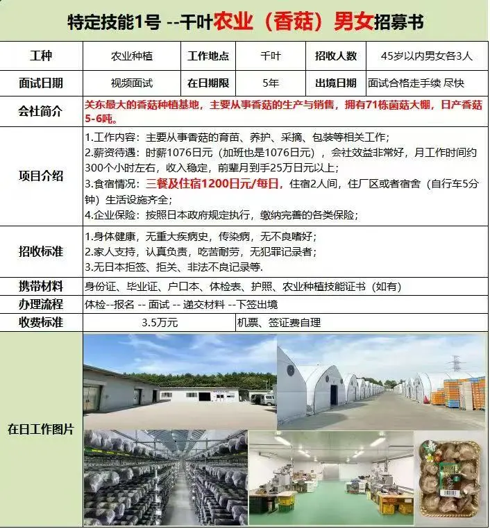 高收入农业特定技能项目