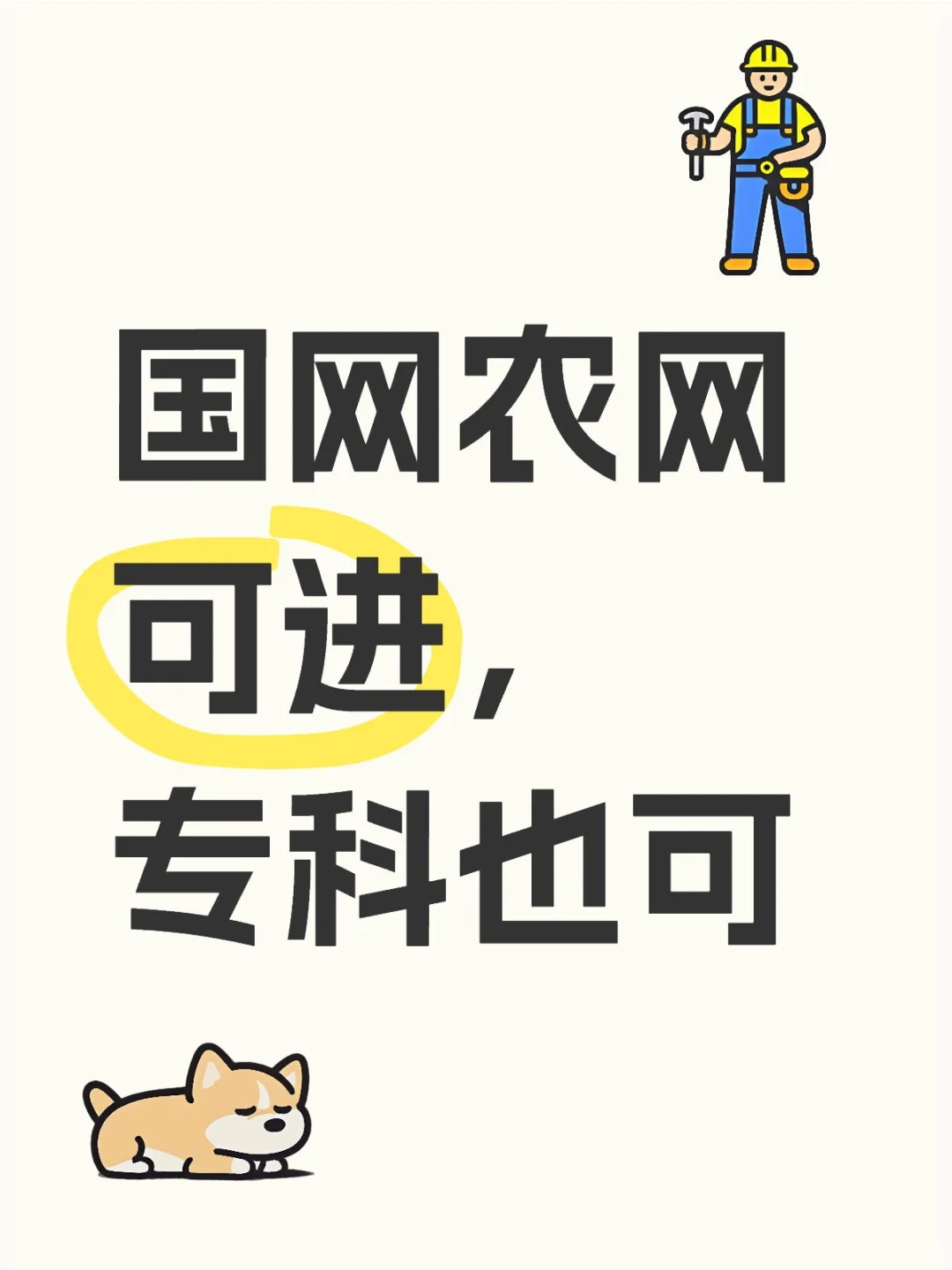国网农网 吉林招聘,稳 保的,专科也可