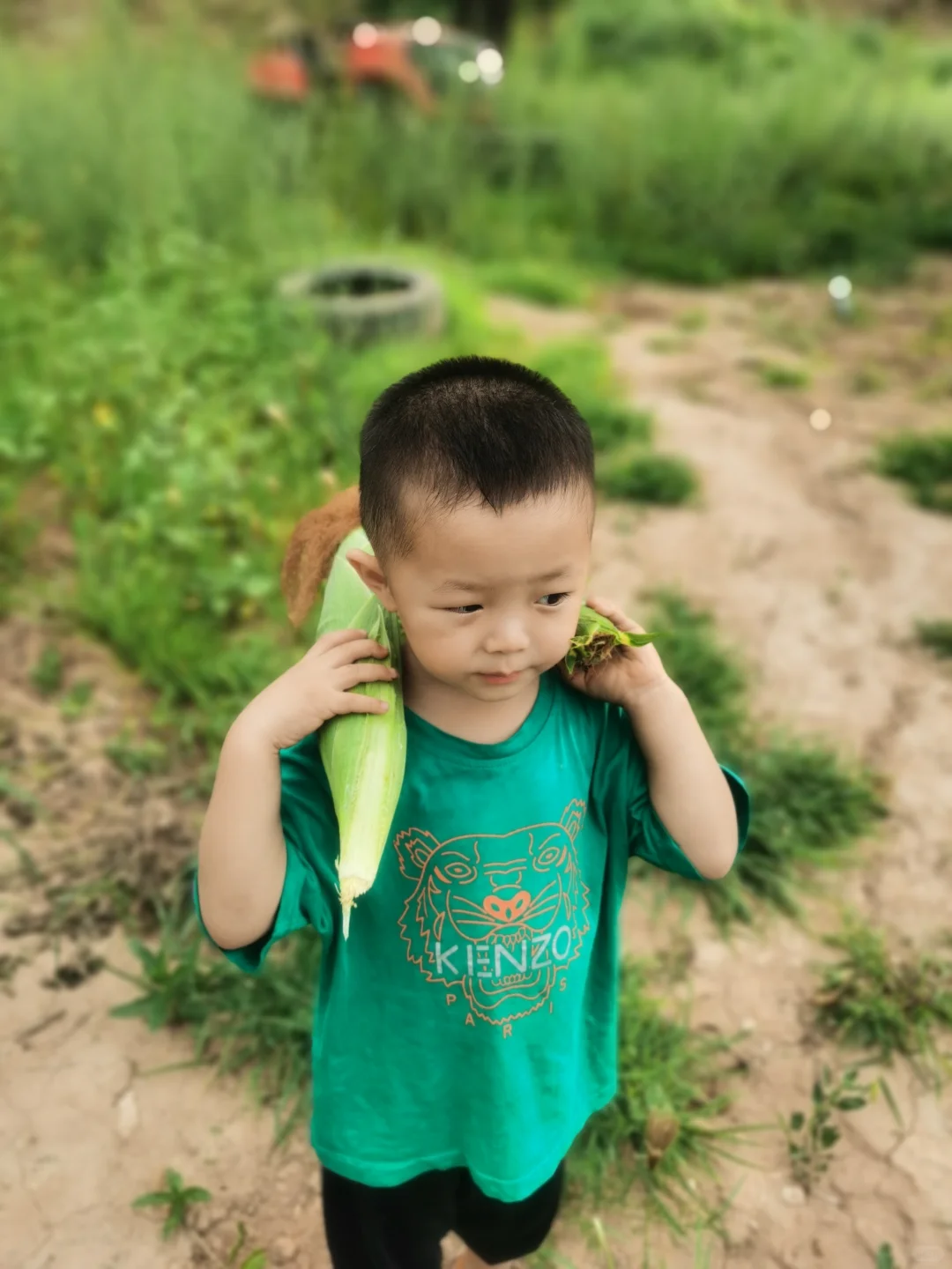 ?“绿色农场志愿者招募令”?