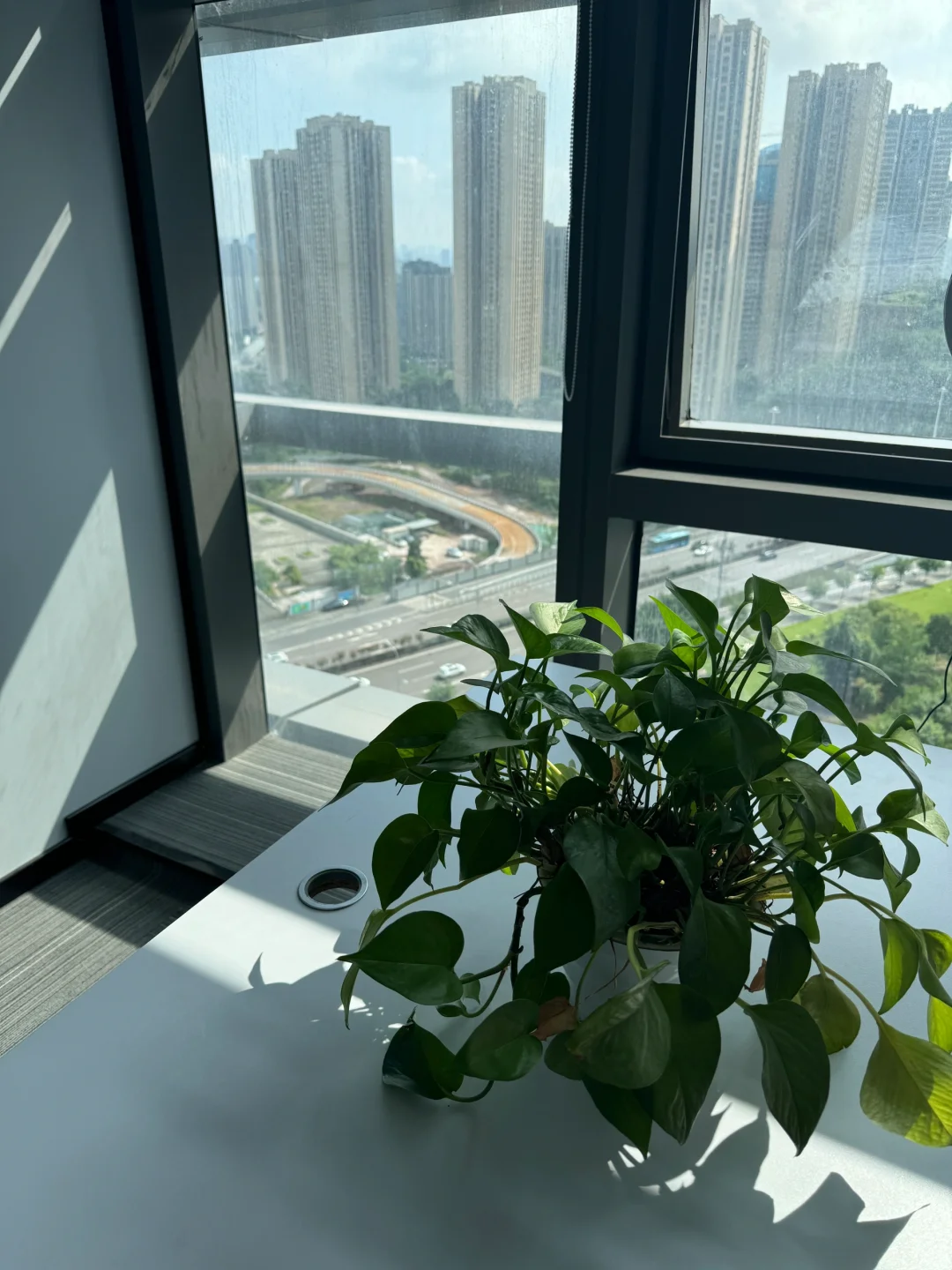 招聘农产品运营专员一名