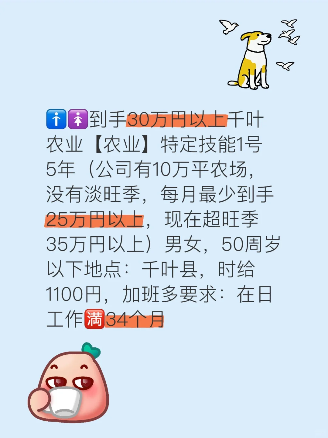 千叶农业特定技能