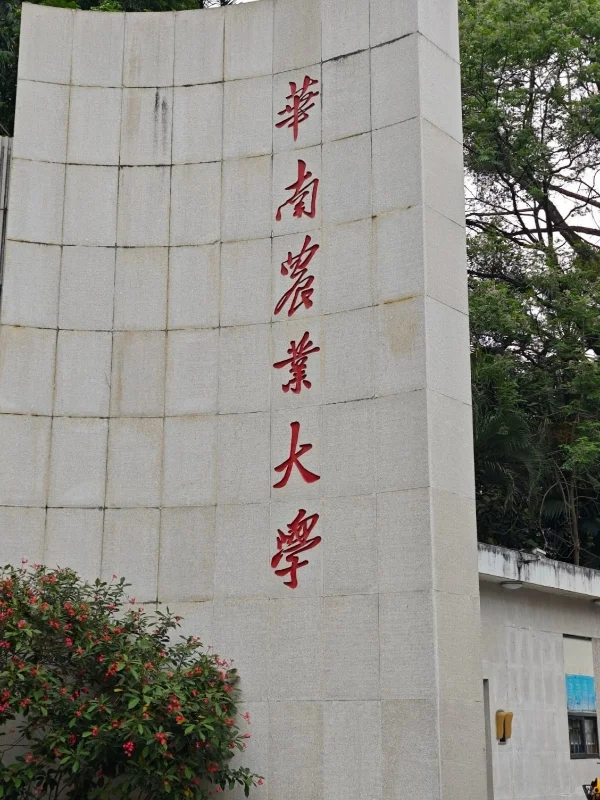 华南农业大学辅导员,偷摸说点小道消息
