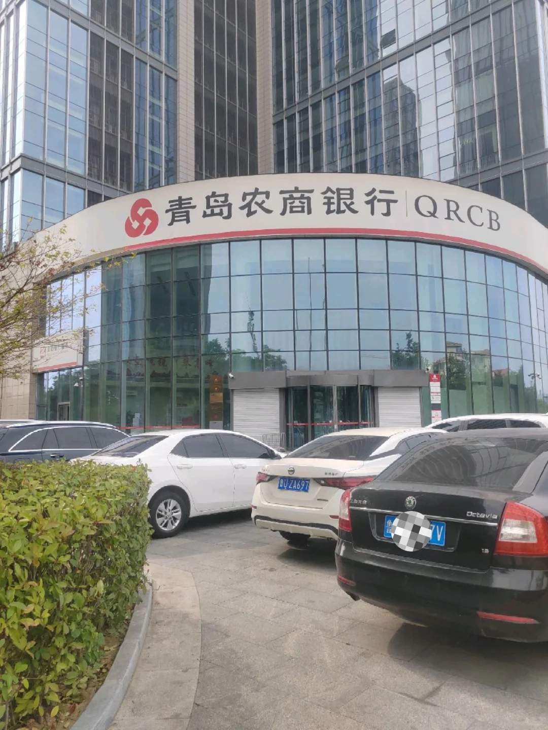 有青岛黄岛的同学需要黄岛农商行工作的吗