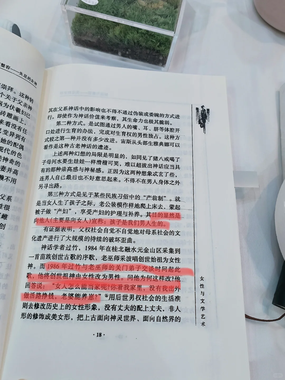 被篡改的女神历史