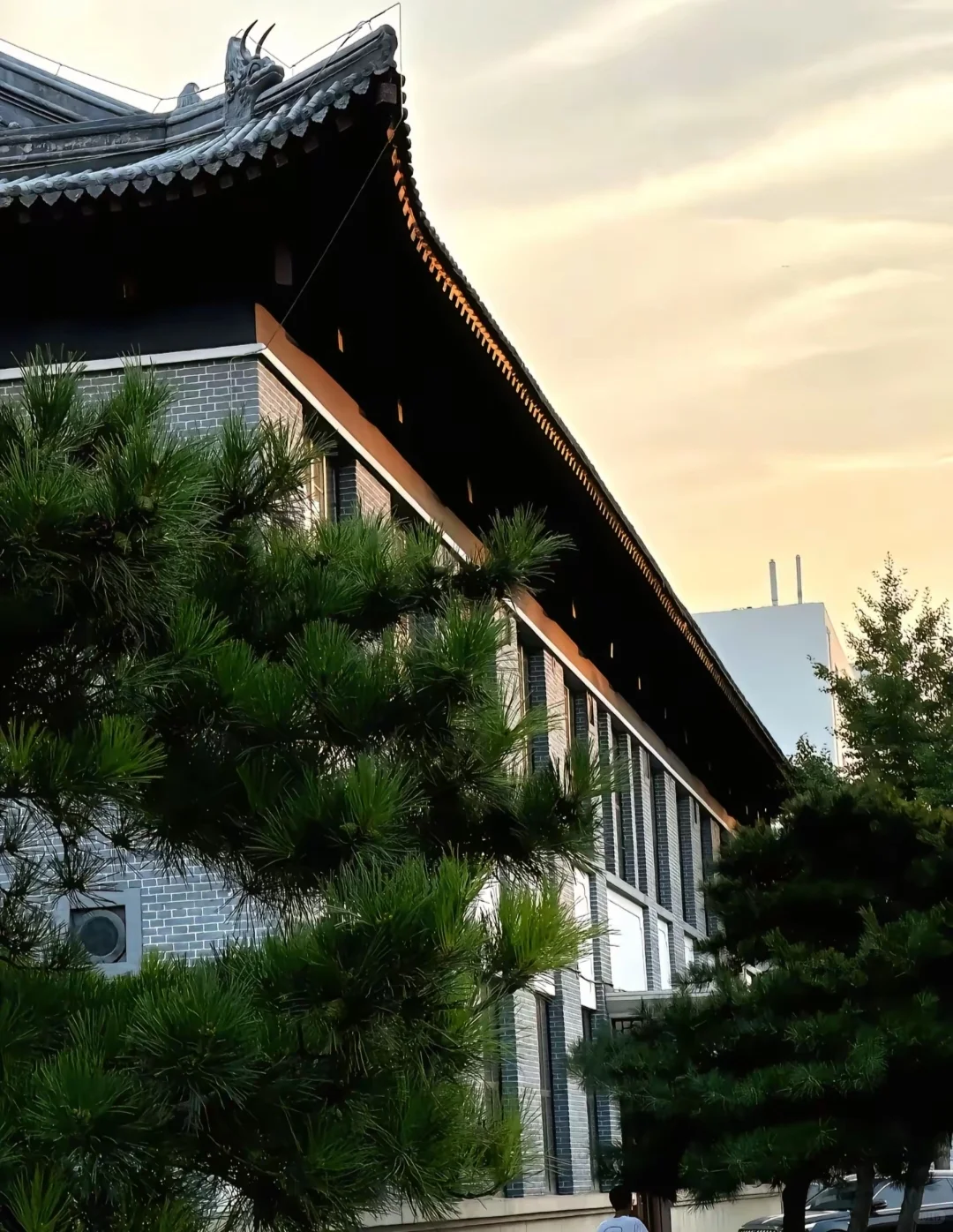 欢迎报考河北农业大学❗❗❗❗