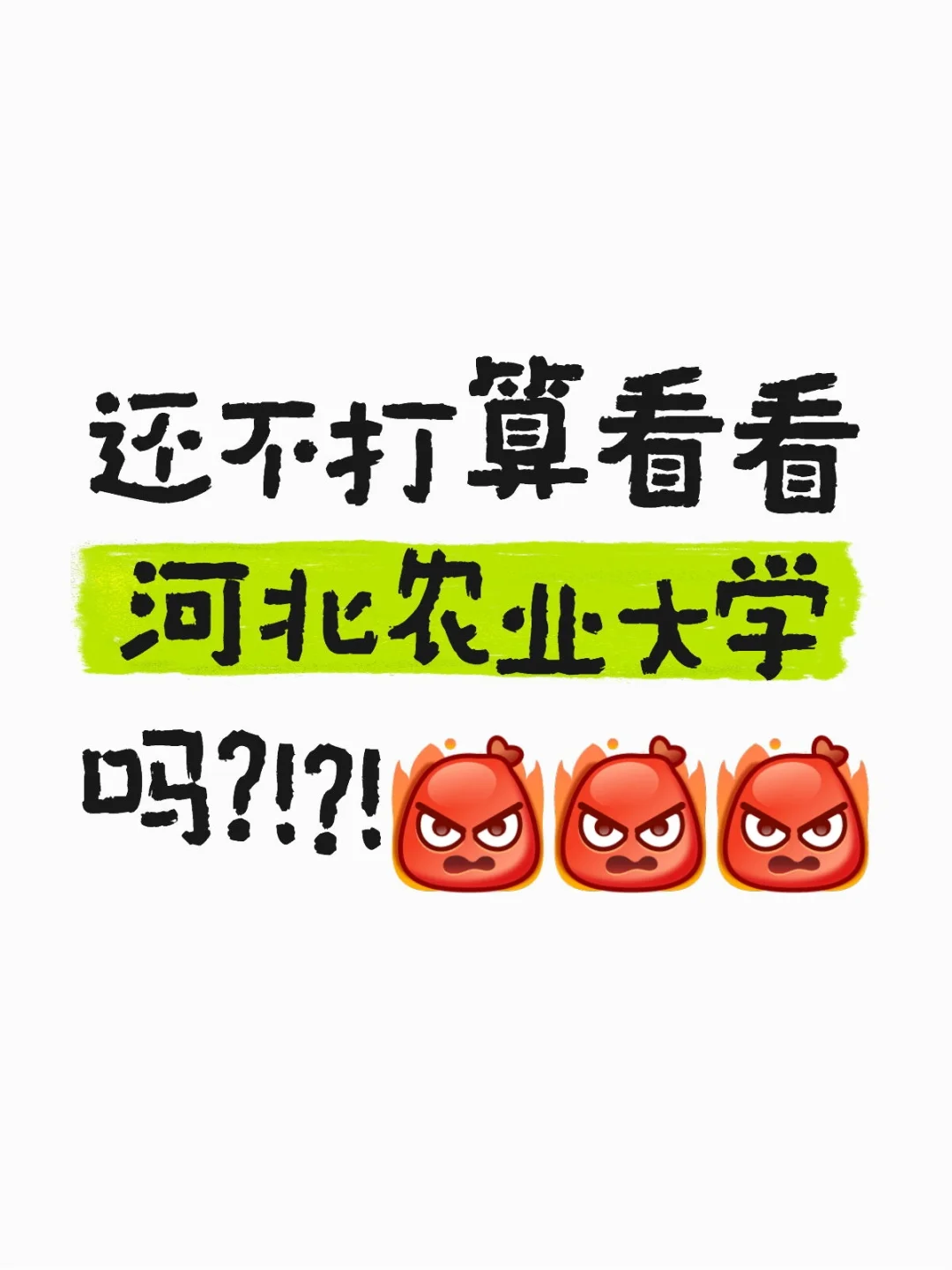 欢迎报考河北农业大学❗❗❗❗