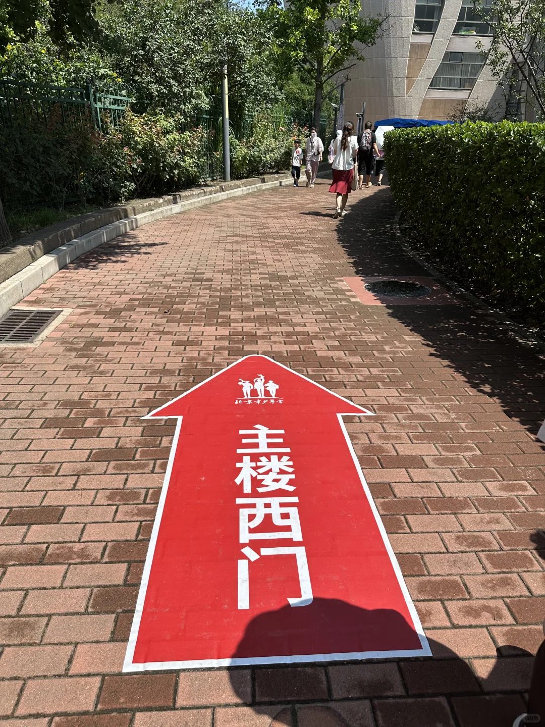 北京市少年宫面试2025年秋季招生