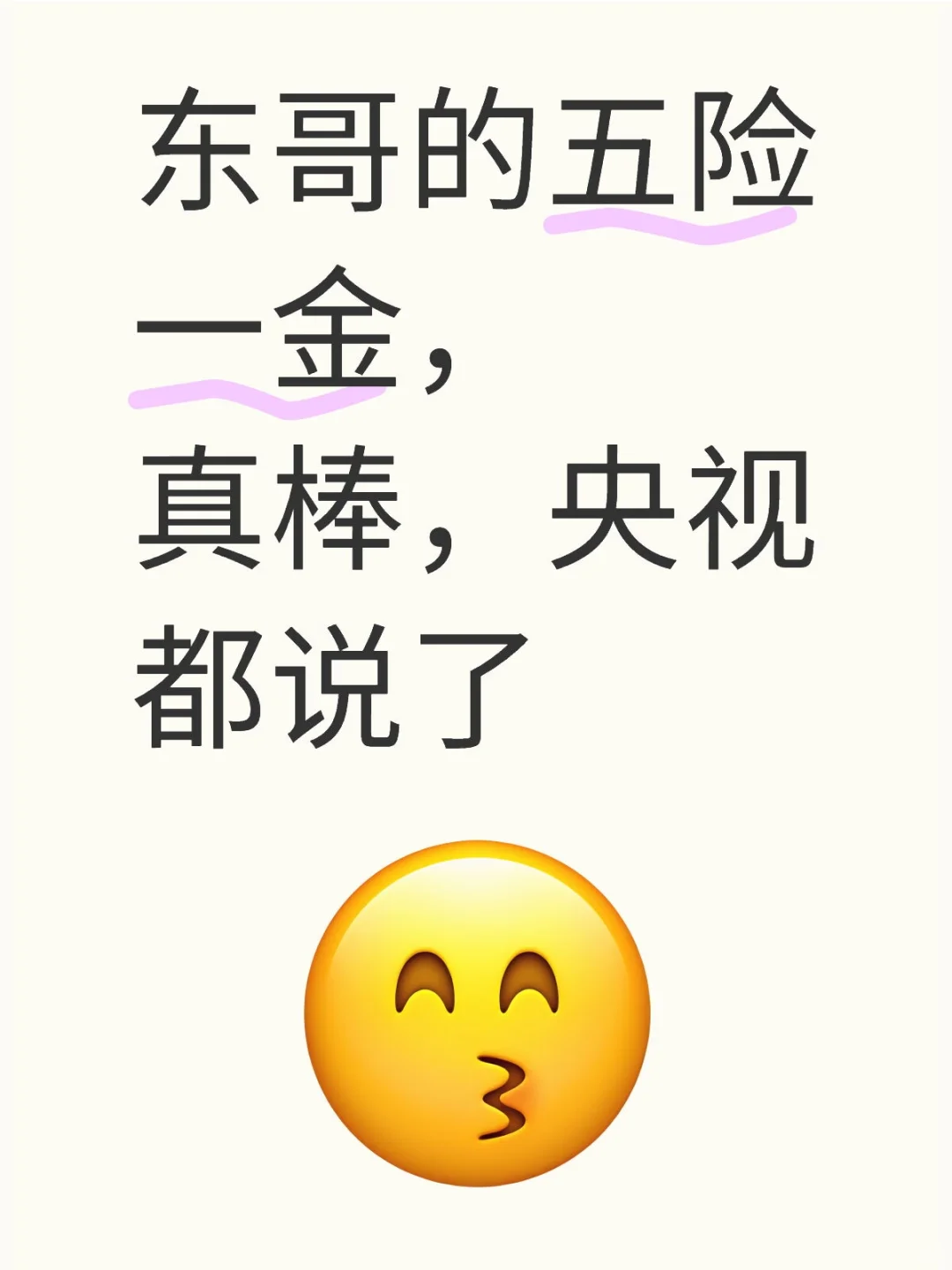 东哥五险一金不错