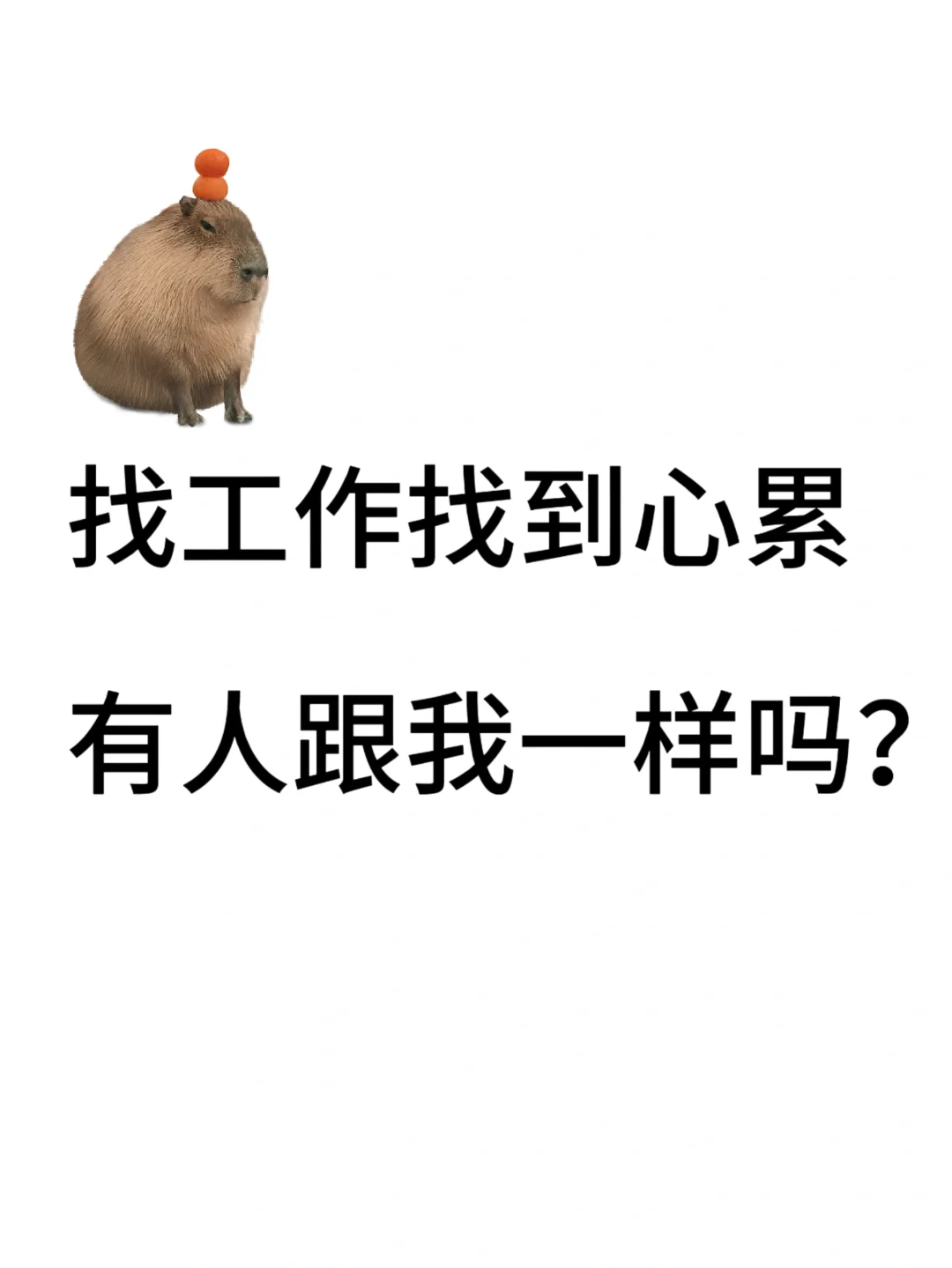 这工作不如不找