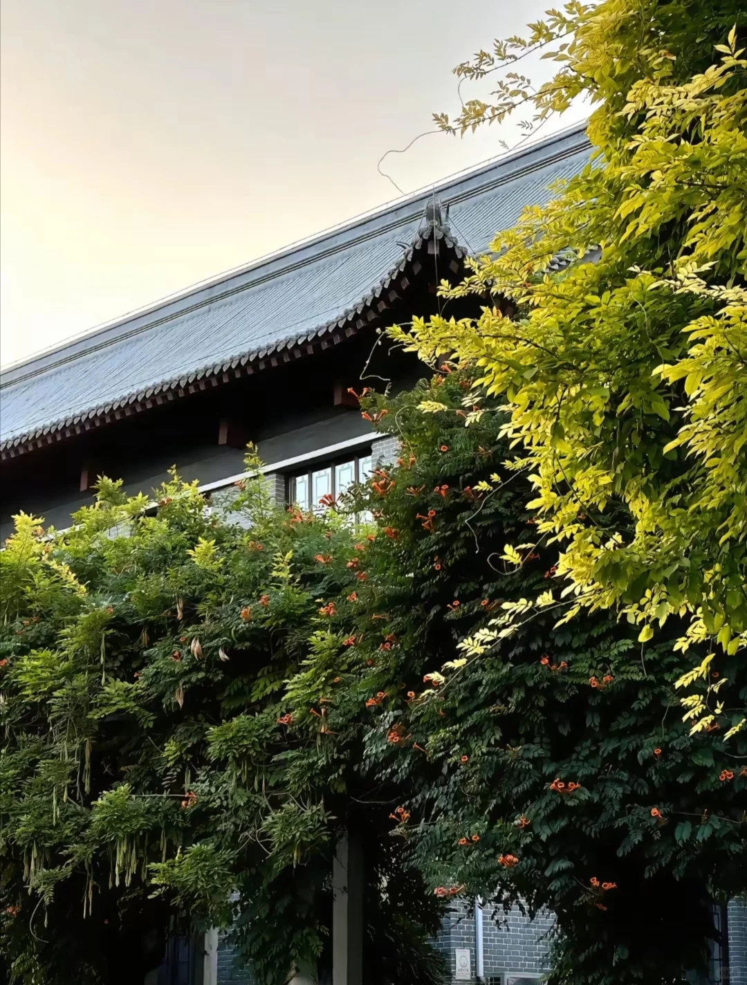 欢迎报考河北农业大学❗❗❗❗