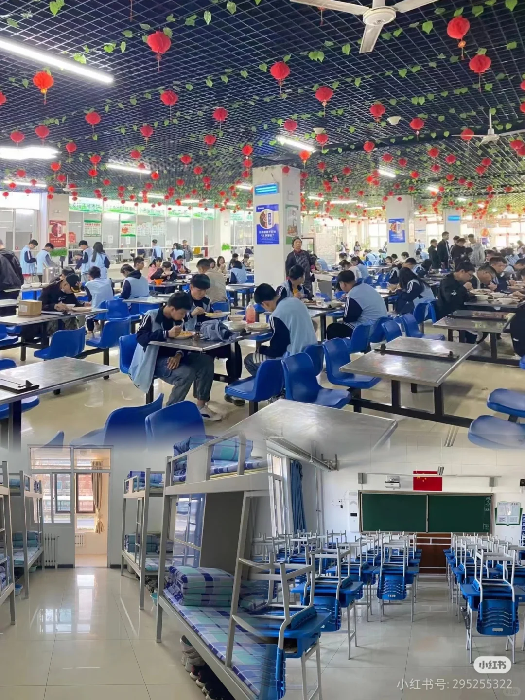 石家庄现代农业学校