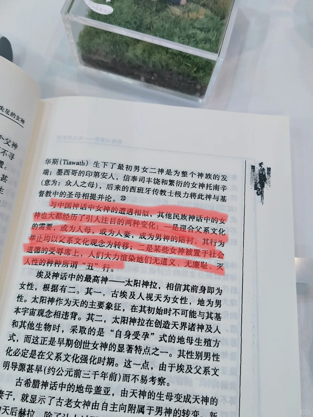被篡改的女神历史