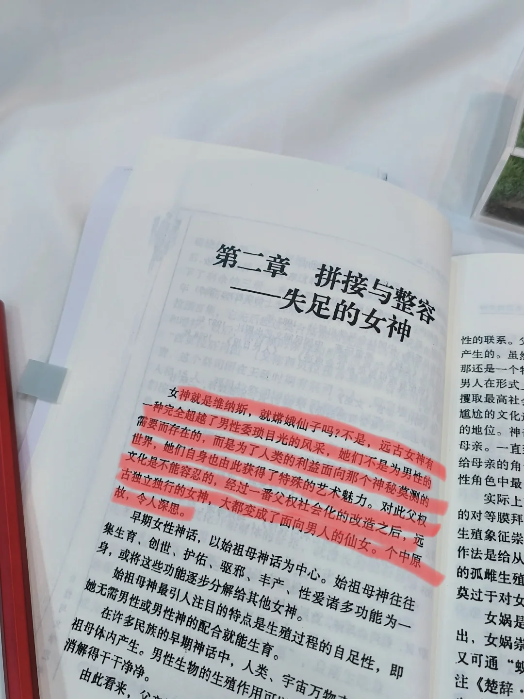 被篡改的女神历史