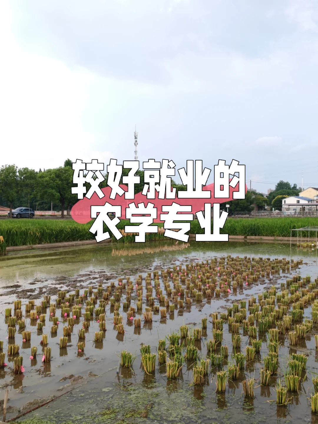 你们都在问的农学就业专业