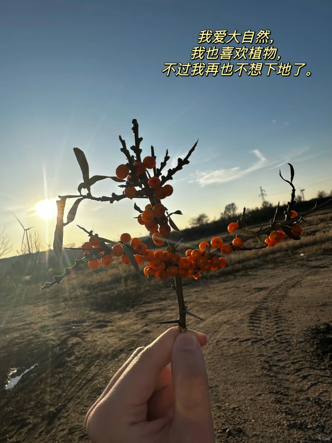 【农学天坑】农学,学完就废了