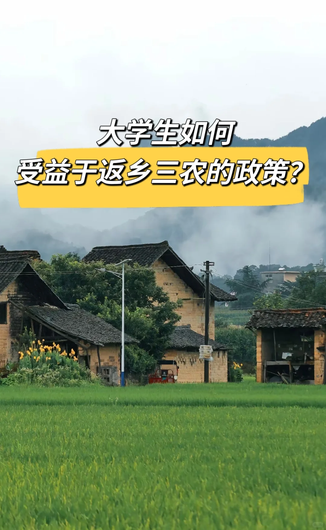 大学生返乡:国家政策如何支持三农新力量