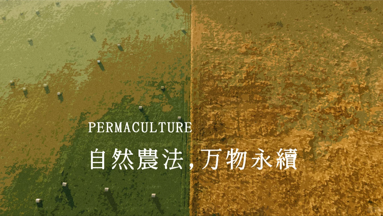 新农人招募令|与土地共生的农场主养成计划