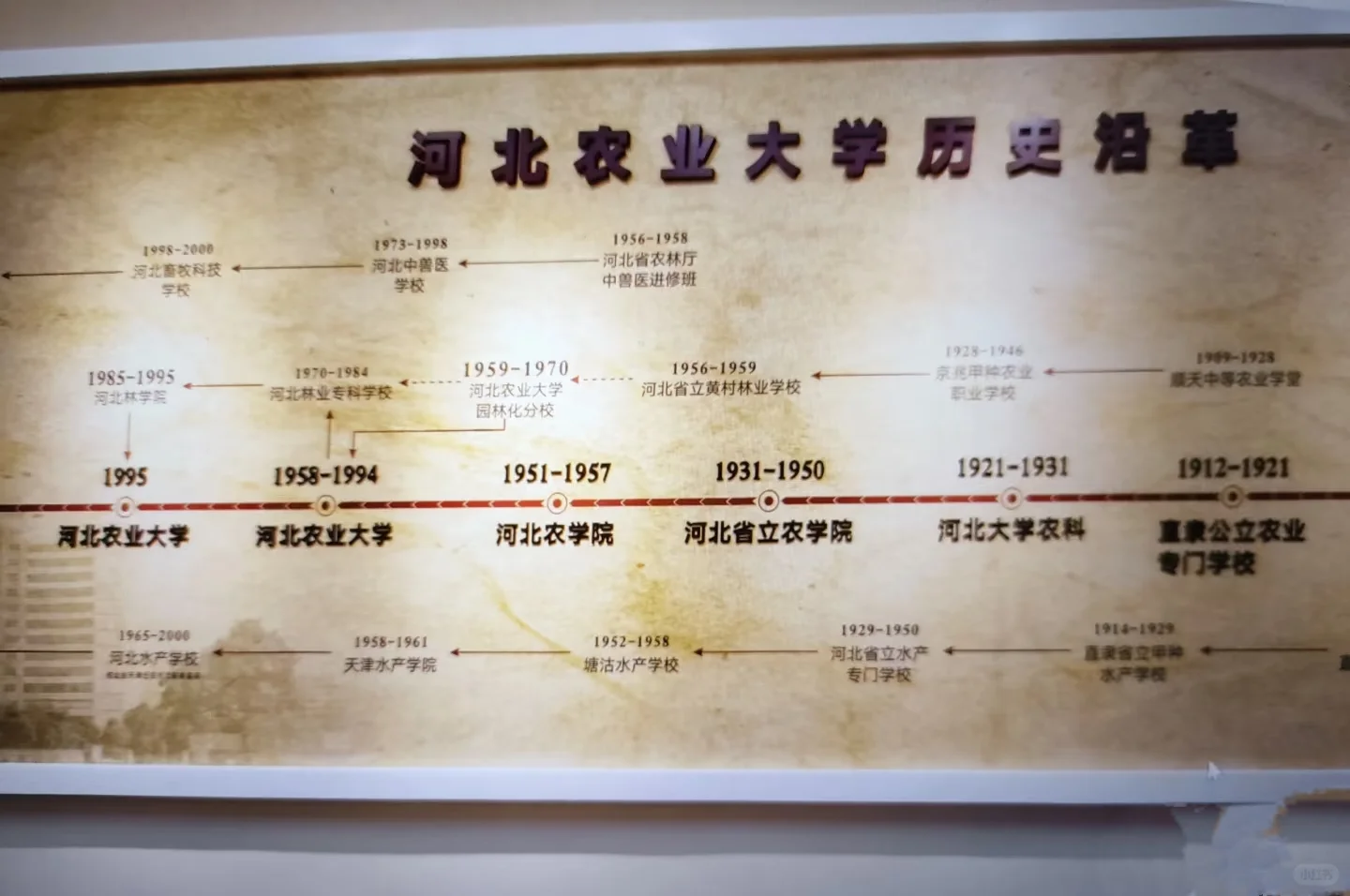 什么原因让河北农业大学火出圈?