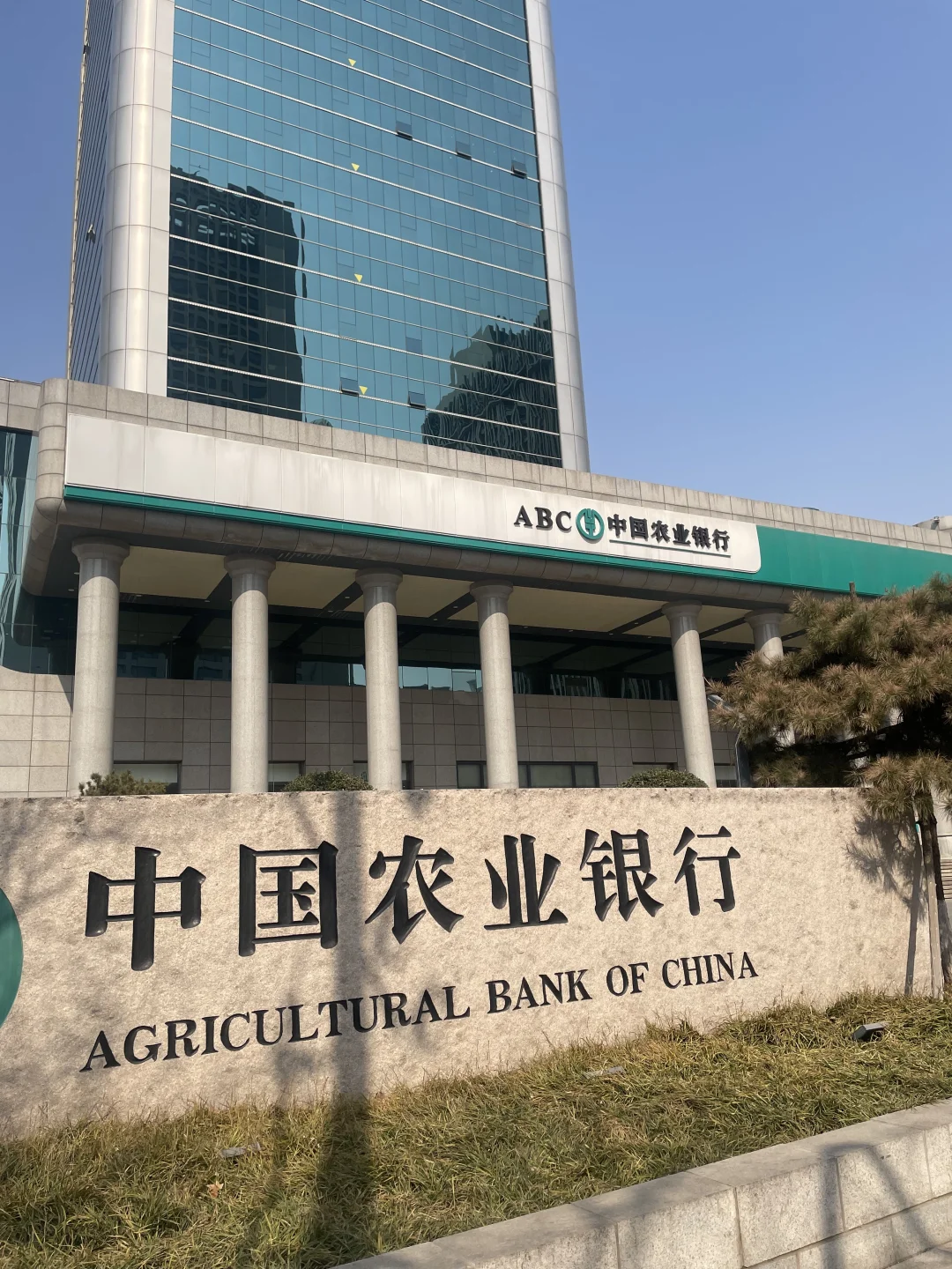 庄里ABC新人