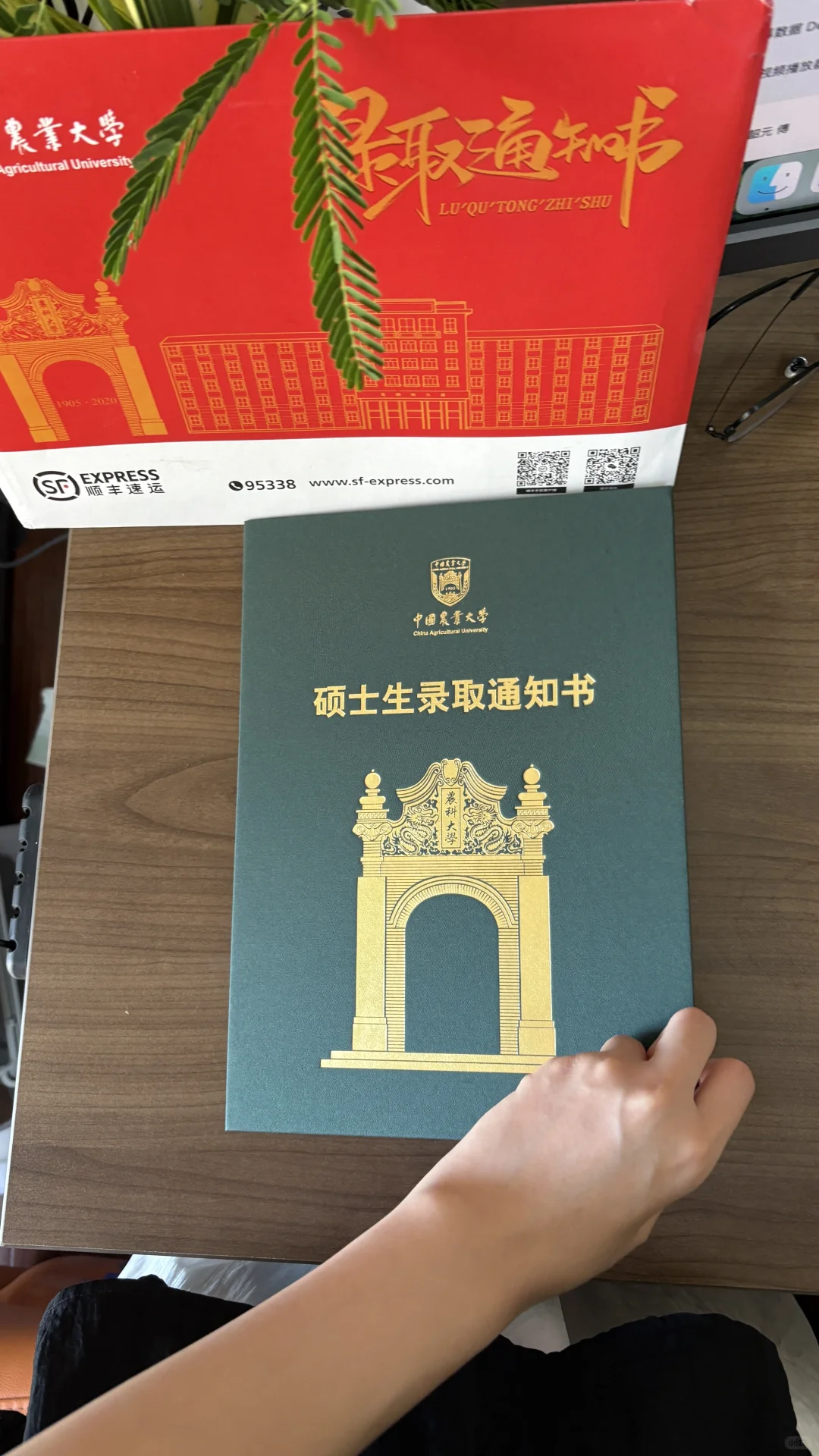 绿油油!!金灿灿的!!真好看!