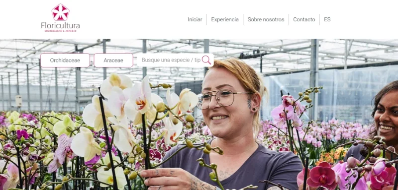 园艺公司|外企•福纳瑞floricultura