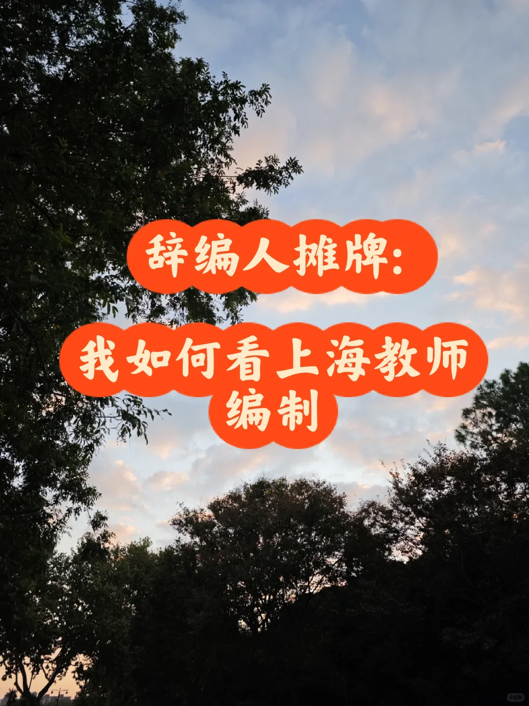 离开后,我这样看上海教师事业编制