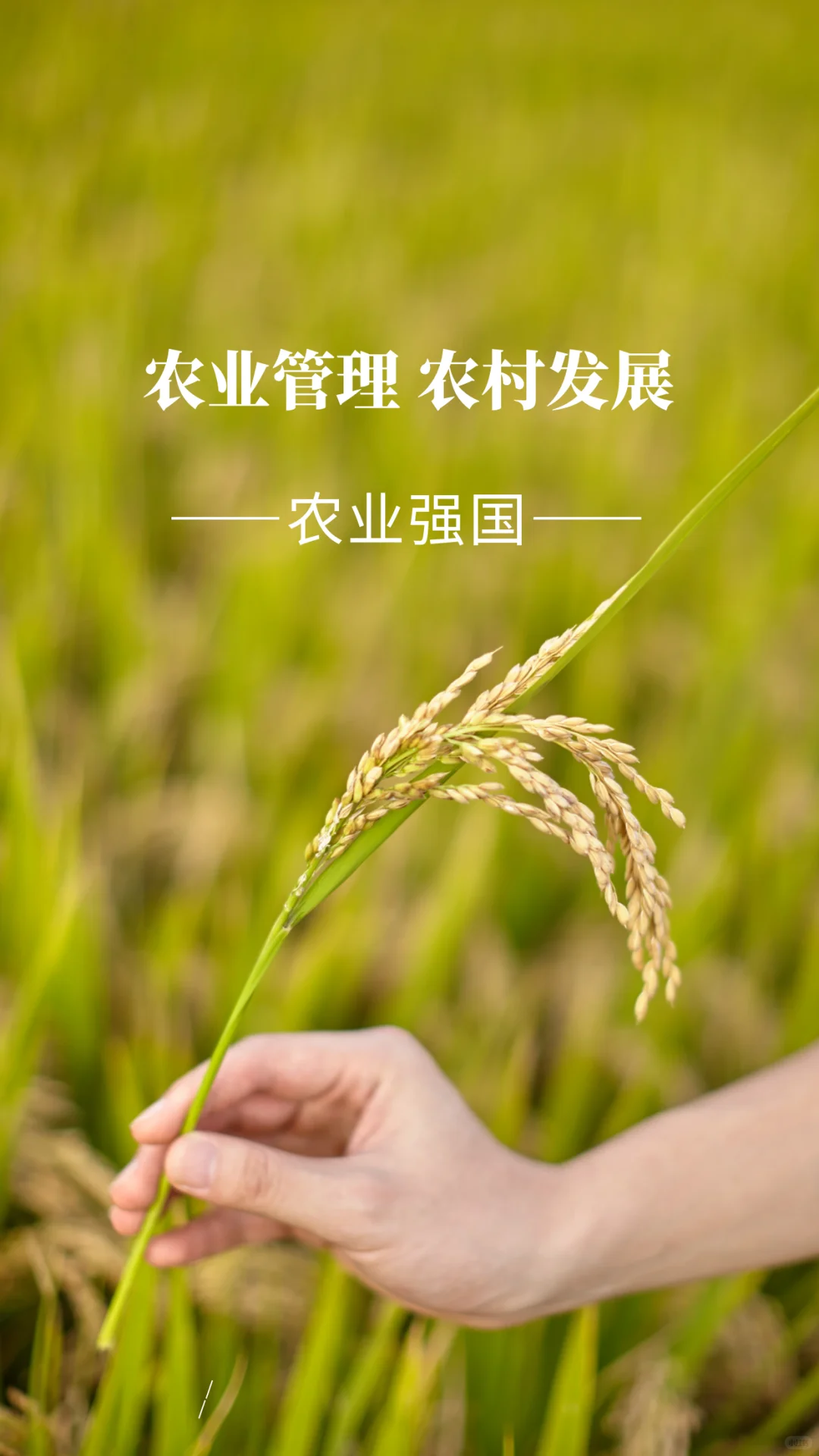 农业管理/农村发展-热门考点答题模板