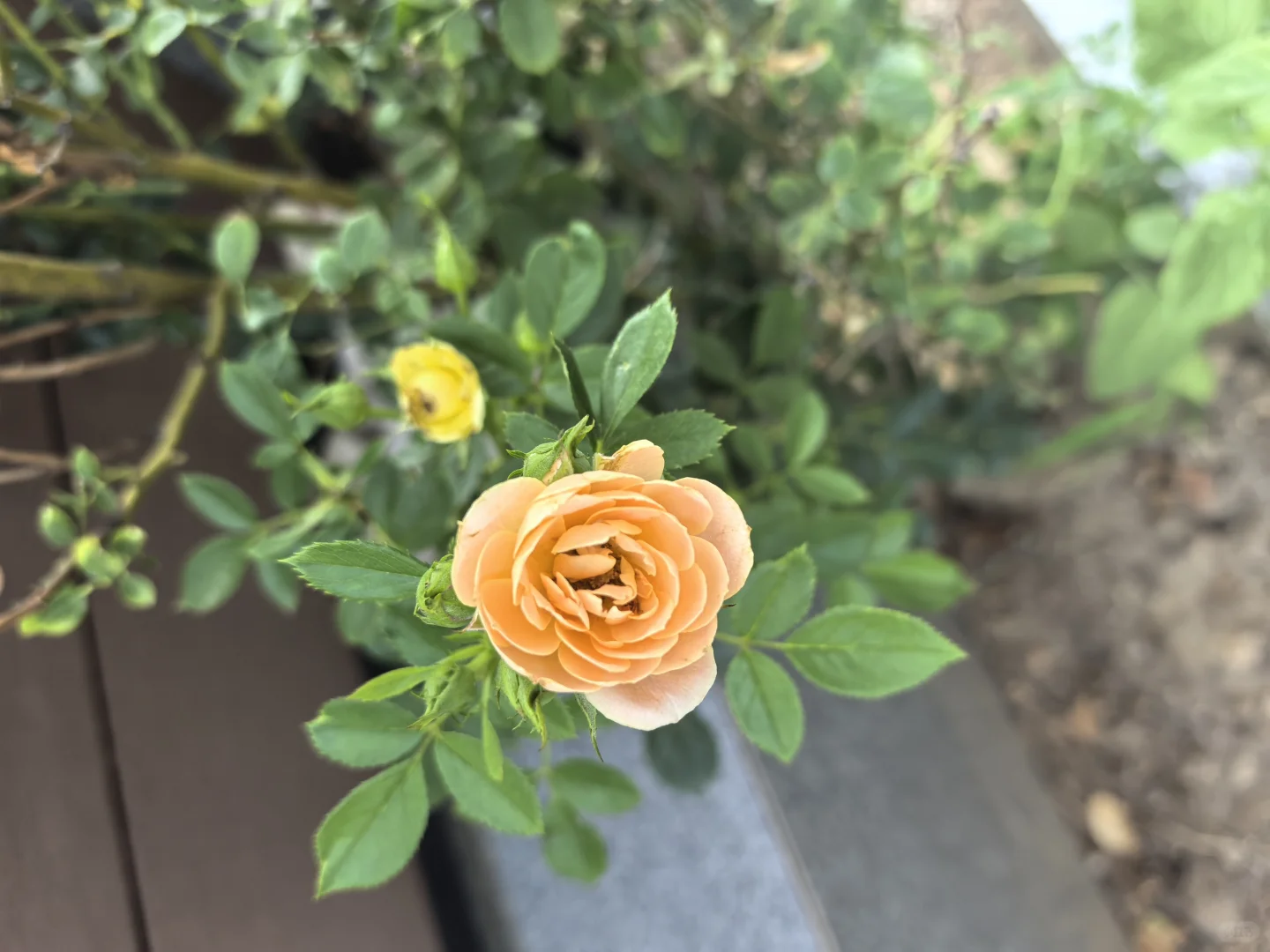 郑州局聘教师