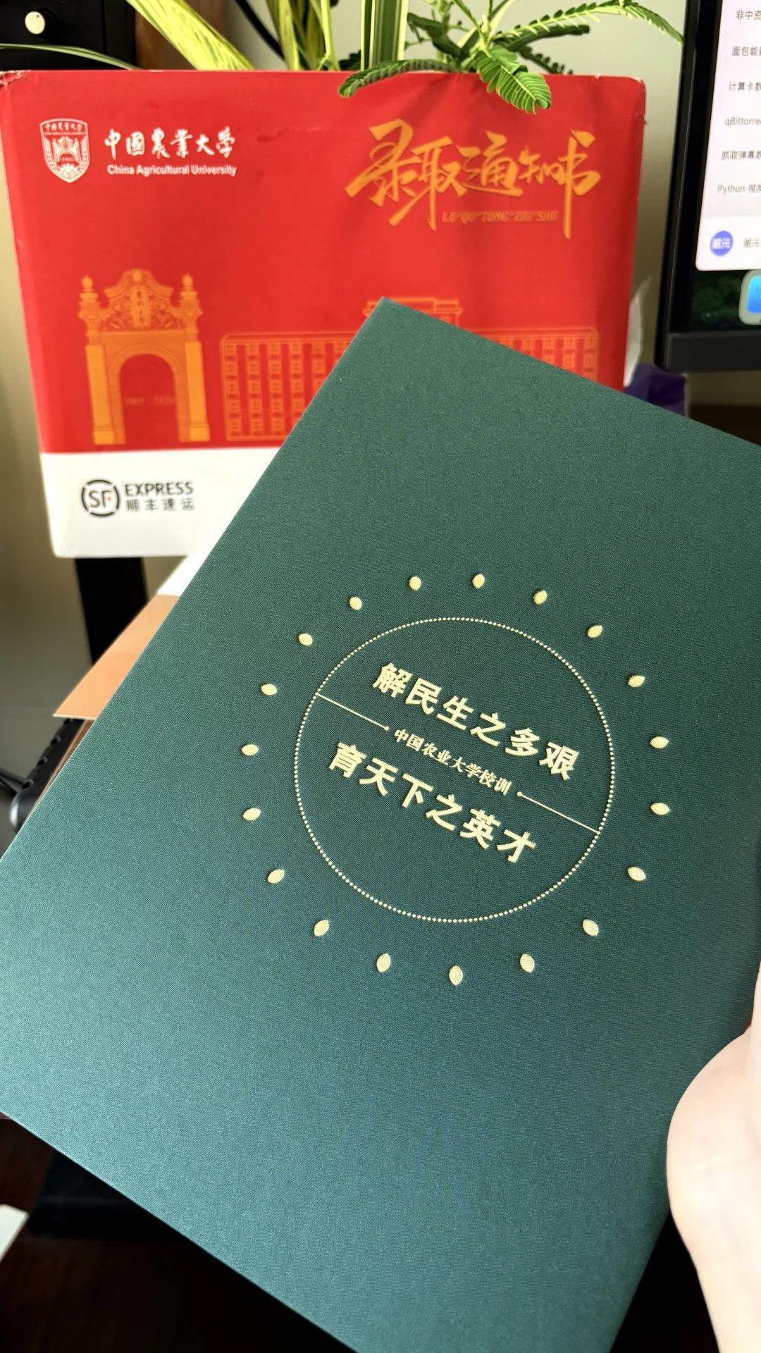 绿油油!!金灿灿的!!真好看!