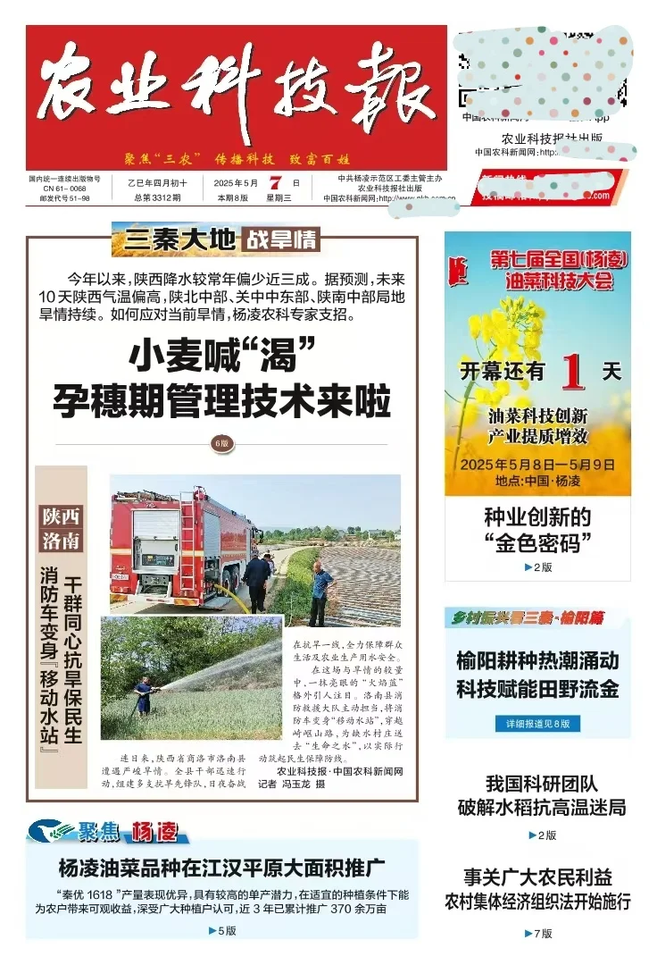 省级报《农业科技报》,可组散文、诗歌