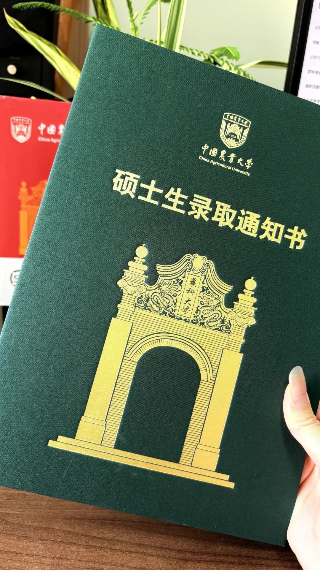 绿油油!!金灿灿的!!真好看!