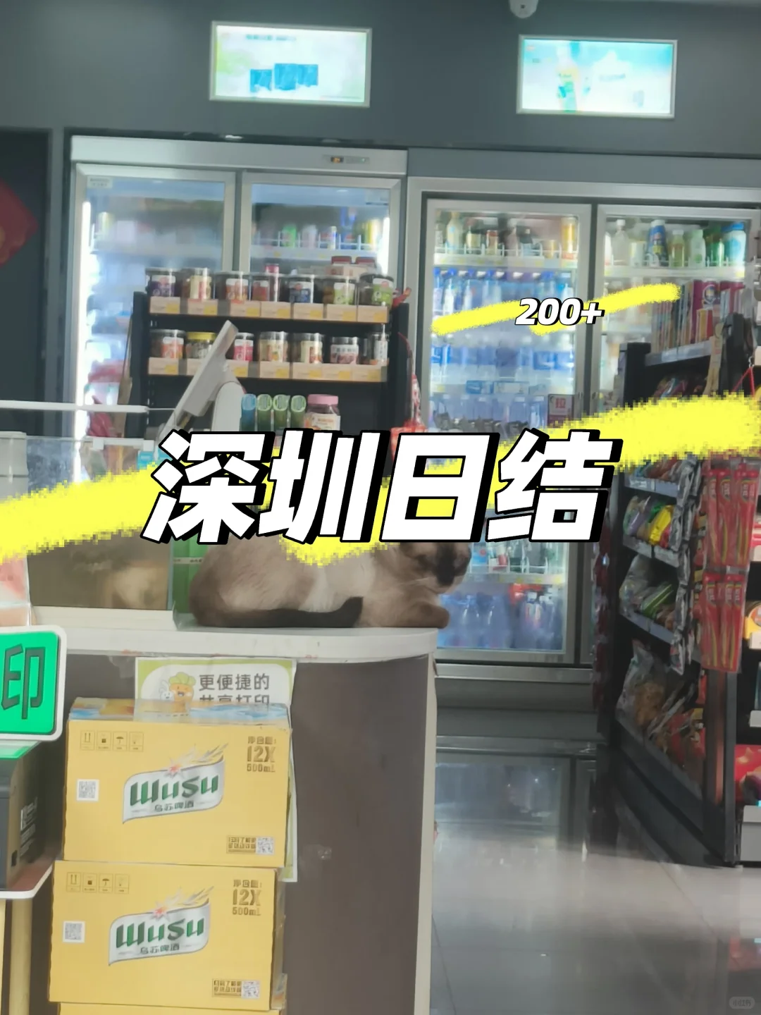 急招夜班兼职|日结200+|观湖街道