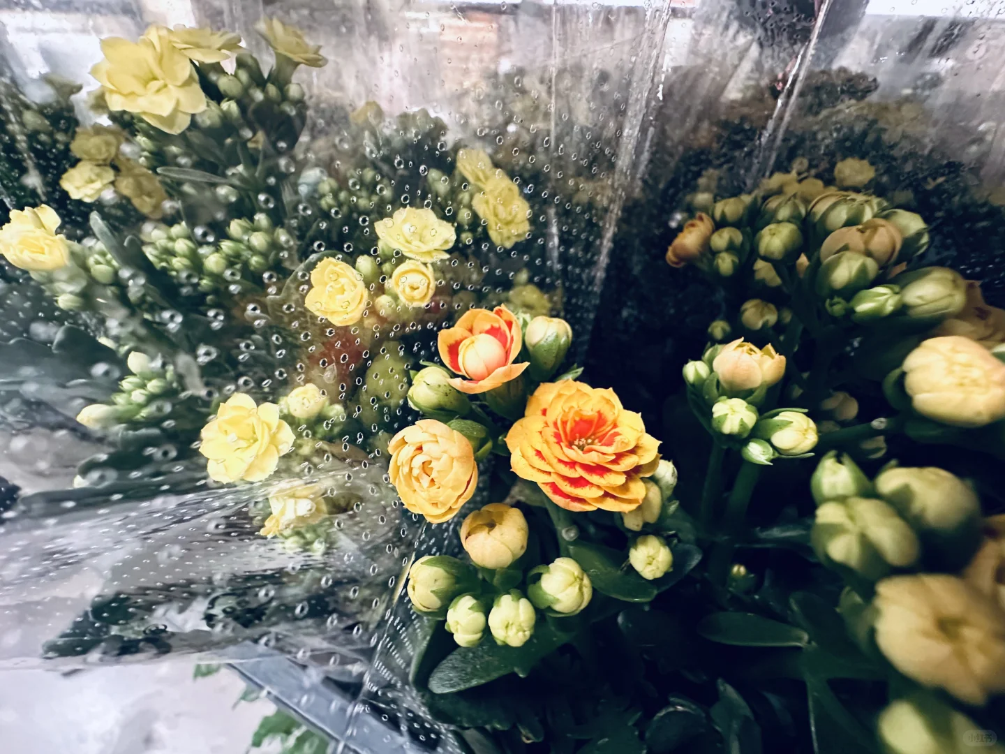 潮汕在编00的生活