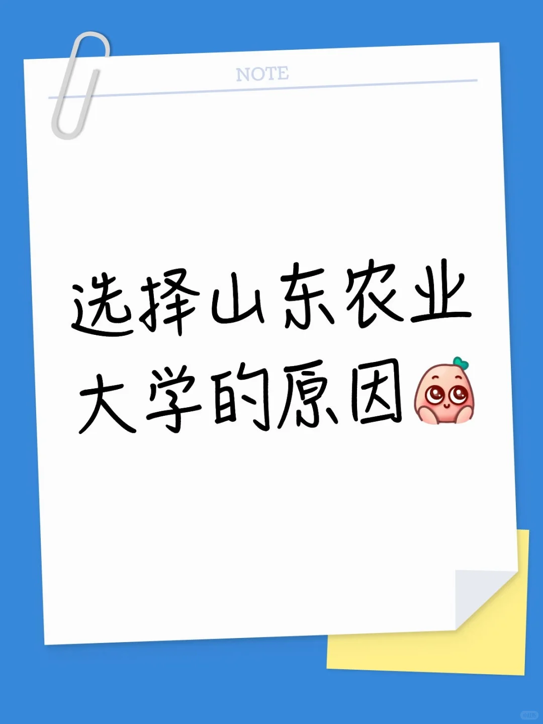 为什么选择山东农业大学